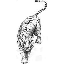 Thanks to the tiger's distinct features, even a silhouette of a tiger makes this tattoo recognizable. White Tiger Tattoo White Tiger Tattoo Tiger Tattoo Tiger Tattoo Thigh