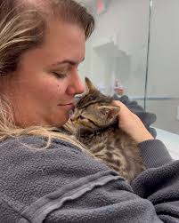 Beyond Pets Animal Hospital