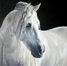 Black And White Horse Images Hd Original Oil Painting White Horse On Black Background Quot Andalusian Beauty Quot Horses Horse Painting Original Oil Painting