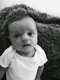 maple and shade: LATELY