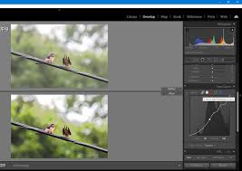 Lightroom has a great cloning and healing tool. Adobe Lightroom Classic Review Pcmag