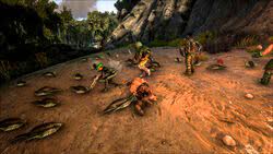 The fire thing didn't work for me. Leech Official Ark Survival Evolved Wiki