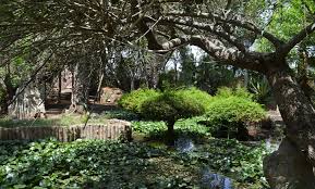 Sortir Les Jardins Exotiques De Bouknadel