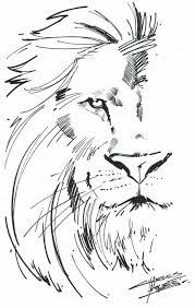 Pin By Massimiliano Mion On Tatuajes Lion Sketch Lion Drawing Lion Art