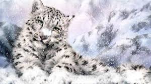 Coloring pages cheetah 100 images baby cheetah coloring pages. Snow Leopard Hd Wallpaper Background Image 1920x1080