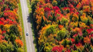 Previsión del tiempo y temperaturas para hoy, mañana y los próximos 14 días en canadá. El Clima De Canada Informacion Y Temperaturas