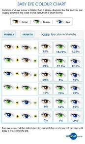 eye color chances eye color chart genetics eye color