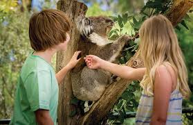Kids Family Activities In The Adelaide Hills Sa Tourism