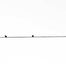 Artsy Instagram Theme Dividers Black And White 13 Divisores De Feed Lindos Para Usar No Instagram Lu Amaral Studio Theme Dividers Instagram Theme Divider Instagram Divider