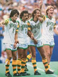 Image result for Yellow 1976 Fleet