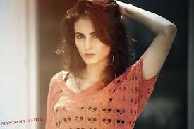 Saree,south india saree,bride,half saree,saree hot,saree navel,wedding saree,actress in saree,kerala saree,tamil. Mandana Karimi Ultra High Definition Wallpapers Bhaag Johnny Film Actress Name 1600x1068 Wallpaper Teahub Io