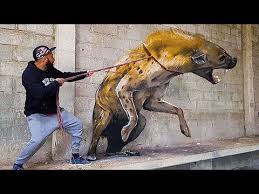 3d Graffiti Murals That Will Blow Your Mind Youtube