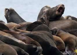 Marcus Donner (@marcusdonner) · Instagram photos and videos