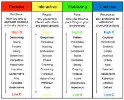 Disc Leadership Style Professional Development Plan Virtual Assistant Leadership