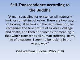 Fails to achieve a transcendent. Meaning Seeking Self Transcendence Well Being Ppt Download