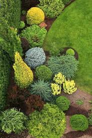Pin By Mateja Tomsic On Dizajn Sada Evergreen Garden Plants Garden Design