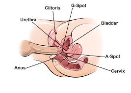 Experience Mind-Blowing Orgasms-Best G-Spot Sex Positions