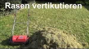 Die optimale jahreszeit zum vertikutieren ist der frühling, wenn gras bereits anfängt zu wachsen. Wie Sie Erfolgreich Den Rasen Vertikutieren In 7 Schritten