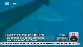 Rtp1 é o principal canal de televisão da empresa pública rádio e televisão de portugal. Portugal Em Direto 2016 De 08 Mar 2016 Rtp Play Rtp