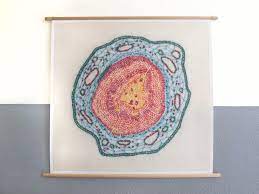 Free embroidery designs download free machine embroidery designs. Canvas Poster Growing Pinus 2 Xl Print Modern Embroidery Etsy Canvas Poster Etsy Artist Biology Art