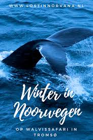 Pin Op Blogboard For Dutchies