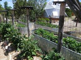4.4 out of 5 stars 79. Raised Bed Gardening In Galvanized Horse Troughs Gardening Page 3 Chowhound