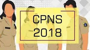 4 Kisi Kisi Soal Skb Cpns 2018 Resmi Dari Bkn Belajar Dari Sekarang Semoga Lulus Tribun Timur