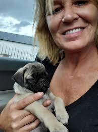 Help me name the new member of our family. my pugs first born out of the 8  puppies she gave birth too and I am keeping him.. help us choose a name