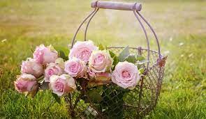 Check spelling or type a new query. Spiritual Meaning Of Smelling Flowers