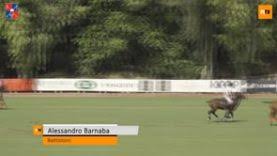 + internazionale é campeã italiana depois de empate da atalanta com. Pololine Tv Campeonato Italiano 2020 Best Goals Qualy