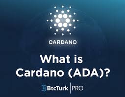 Последние твиты от cardano community (@cardano). What Is Cardano Ada Cardano Is An Open Source Blockchain By Btcturk Medium