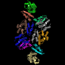 Hot milf immagini porno in figa milf foto. 7nog Structure Of The Mature Rsv Ca Lattice Group Iii Hexamer Hexamer Interface Class 4 5