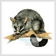 64w x 61h dmc colors: Possum Online Cross Stitch Patterns