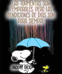 Pin De Sofia Mejia Llanos En Gifs O Stickers En 2021 Imagenes De Feliz Noche Poemas De Buenas Noches Hola Buenos Dias Frases