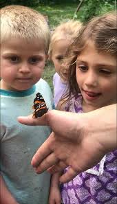 Fairy Houses and Gnome Homes