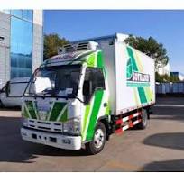Isuzu 3 Ton 5 Ton 10 Ton Freezer Truck Refrigerator Truck Refrigerated  Truck We Export to Gabon