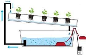 Nft Hydroponic System Download Scientific Diagram
