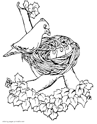 Supercoloring.com is a super fun for all ages: Nest Coloring Page Coloring Home
