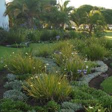 South African Garden Garden Ideas South Africa African Plants Water Wise Landscaping