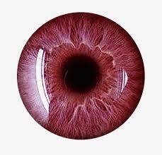 Millions Of Png Images Backgrounds And Vectors For Free Download Pngtree Eye Texture Eye Photography Eyes Clipart