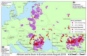 Asfv is transmitted within europe most often directly via contact between sick and healthy animals, including domestic pigs and wild boar. African Swine Fever In Europe Since August 2019 Europe