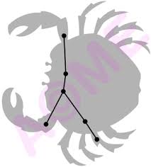 12 signs of zodiac in round frames, vector. Cancer The Constellation Lessons Blendspace
