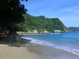 The blue waters inn is set in a beautiful private alcove in a stunning location with a lot of privacy on a secluded part of tobago. Blue Waters Inn Tobago My Travelworld