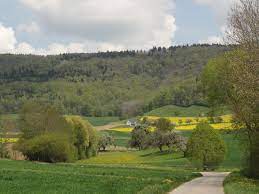 Während der nächsten gut 150 jahre änderte sich nicht viel in neunkirch. Wikiloc Picture Of Beggingen Randen 1 6