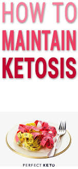 Hosted Site Search Discovery For Companies Of All Sizes Ketogenic Diet Meal Plan Best Keto Diet Ketogenic Diet