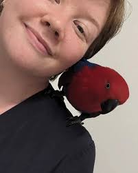 👩🏻‍⚕️ Dr Amanda Brett (@strangecreaturesvet) • Instagram photos and videos