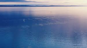 Hier ist es möglich die natur in sich aufzunehmen. Haus Am See