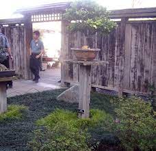 What Not To Do In A Japanese Garden Privacy Screen Outdoor Japanese Garden Outdoor Screens