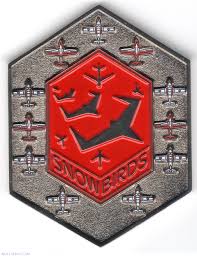 Check spelling or type a new query. 431 Sqn Snowbirds Military Challenge Coin Air Force Canada Medal 17071