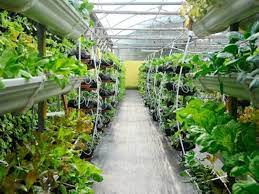But anyway, vertical farming refers to the practice of producing fruits and vegetables vertically, in stacked layers, perhaps on many floors inside a building, using artificial lights instead of the sun. Vertical Farming Is The Future The European Business Review